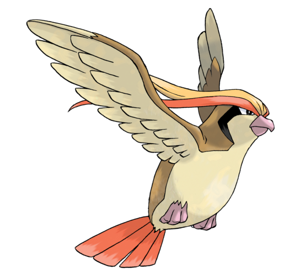 evolucion-de-pidgey-pidgeot